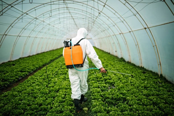 Pest Control Cost in Boron, CA