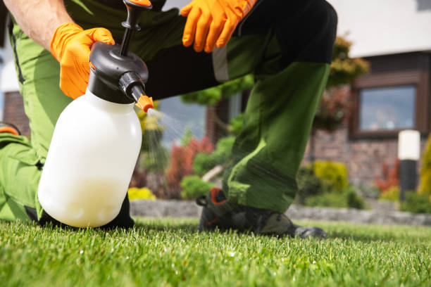 Best Best Pest Control Companies  in Boron, CA