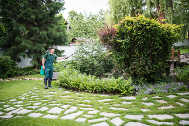 Best Mosquito Control Services  in Boron, CA