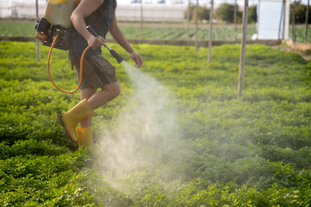 Best Pest Control Cost  in Boron, CA