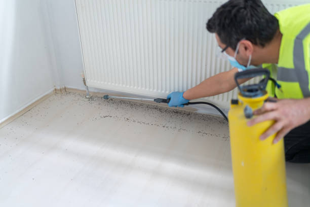 Best Pest Inspection Near Me  in Boron, CA