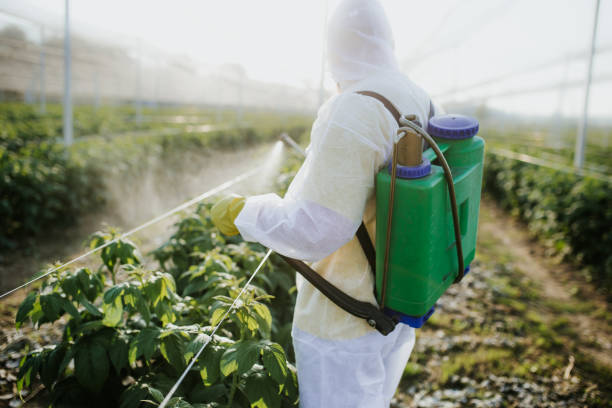 Best Wildlife Control Services  in Boron, CA